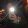 oliviamarks494